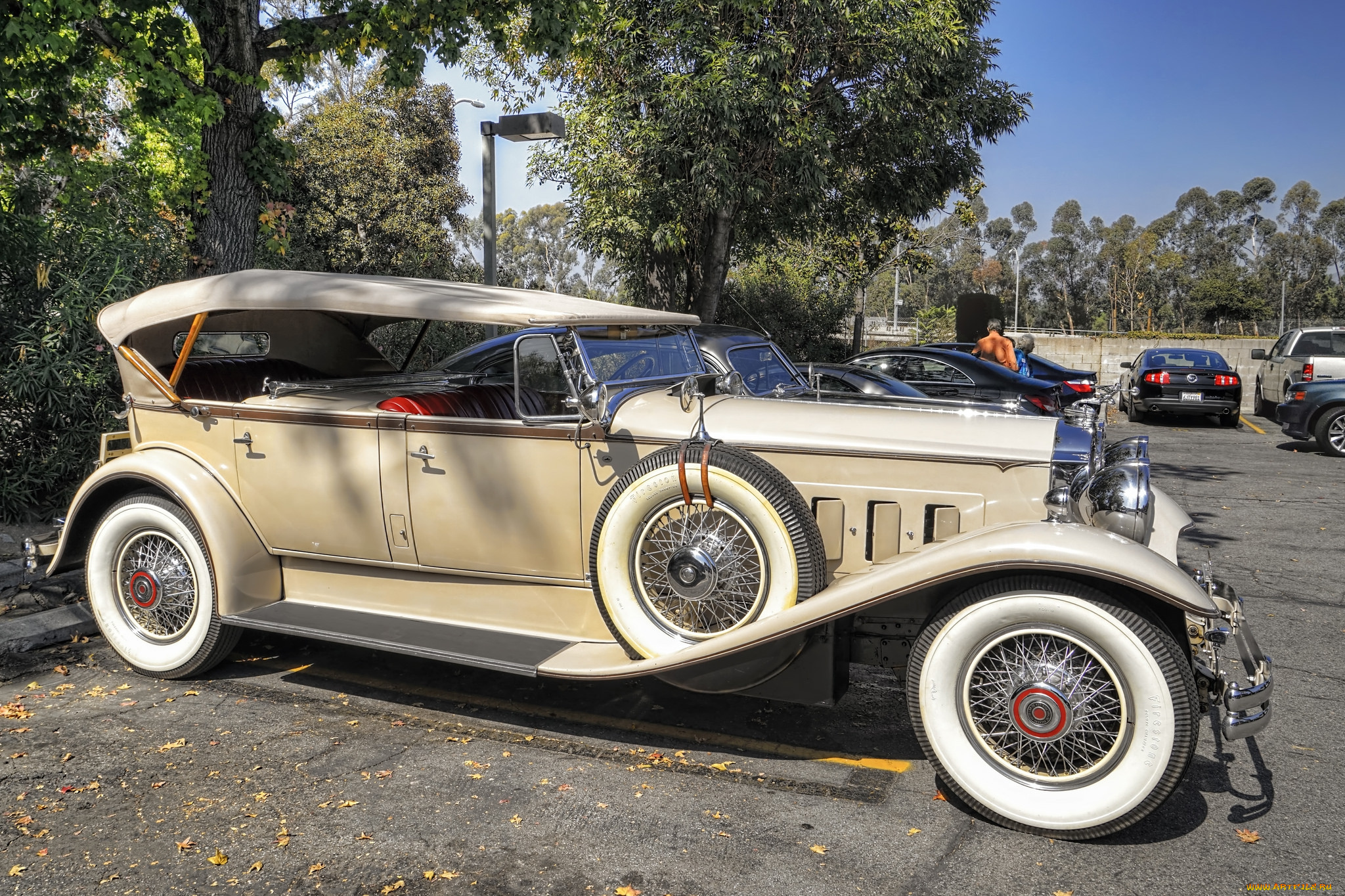 автомобили, выставки, и, уличные, фото, выставка, автошоу