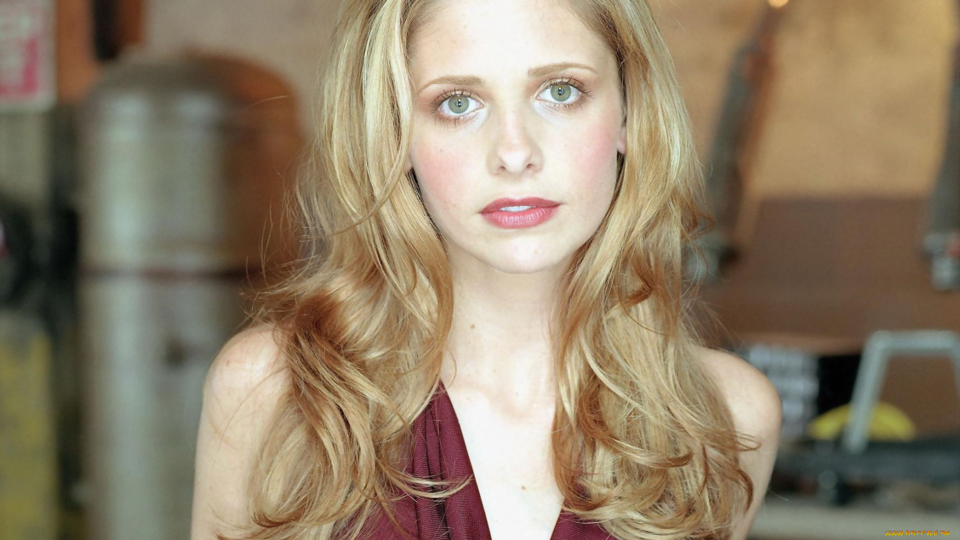 девушки, sarah, michelle, gellar, декольте, блондинка, сара, мишель, геллар, актриса, взгляд