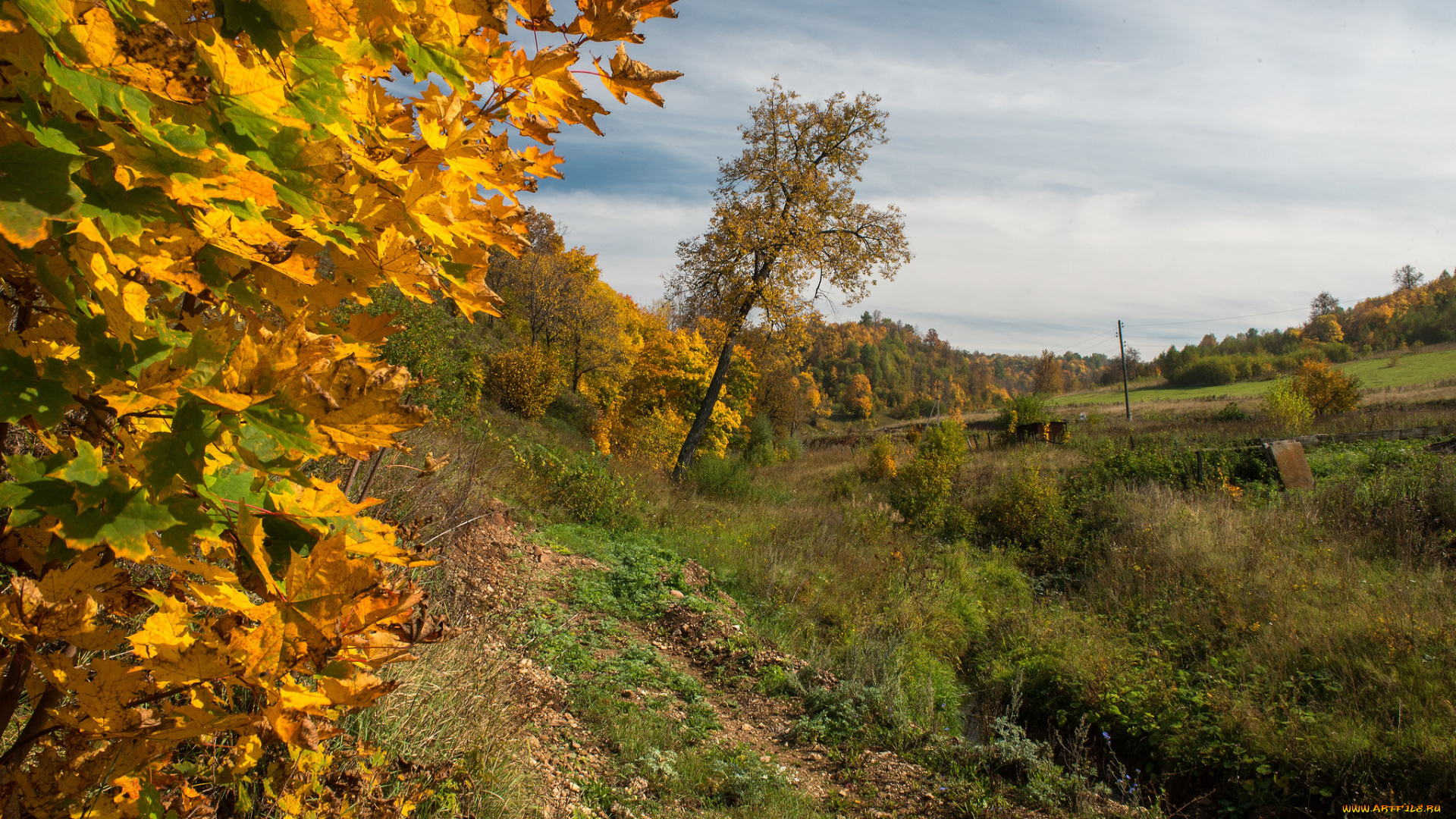 природа, пейзажи, лес, поле, осень