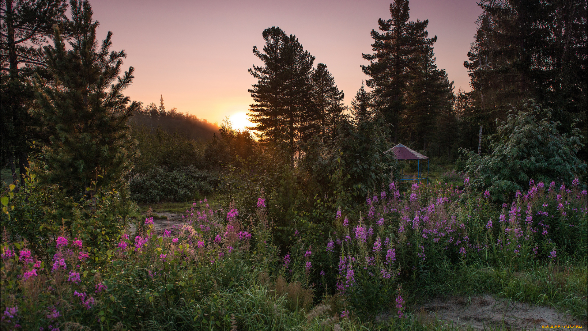 природа, пейзажи, рассвет
