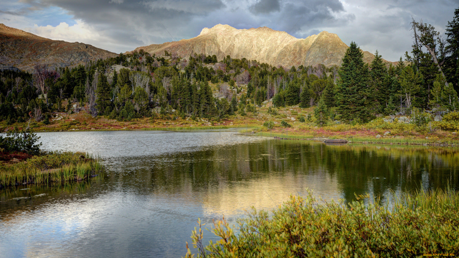 природа, реки, озера, горы, река, лес