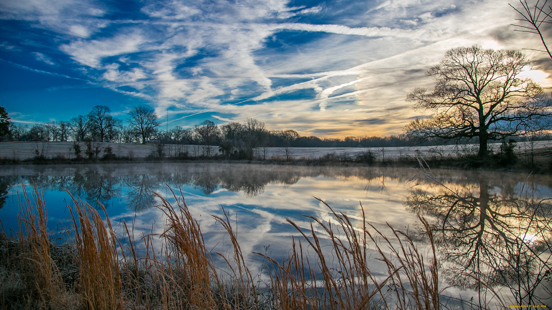 природа, реки, озера, лес, река