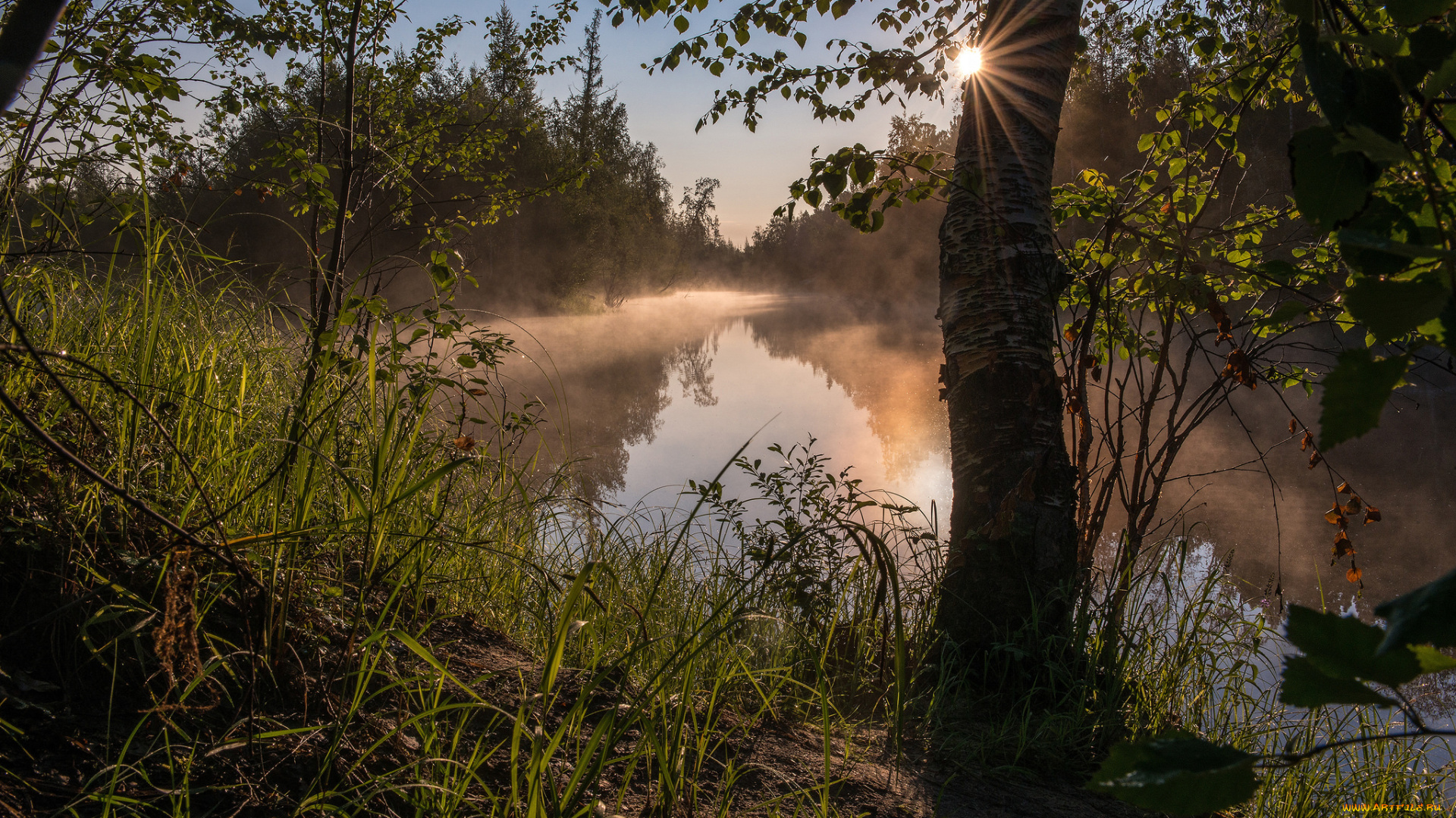 природа, реки, озера, рассвет