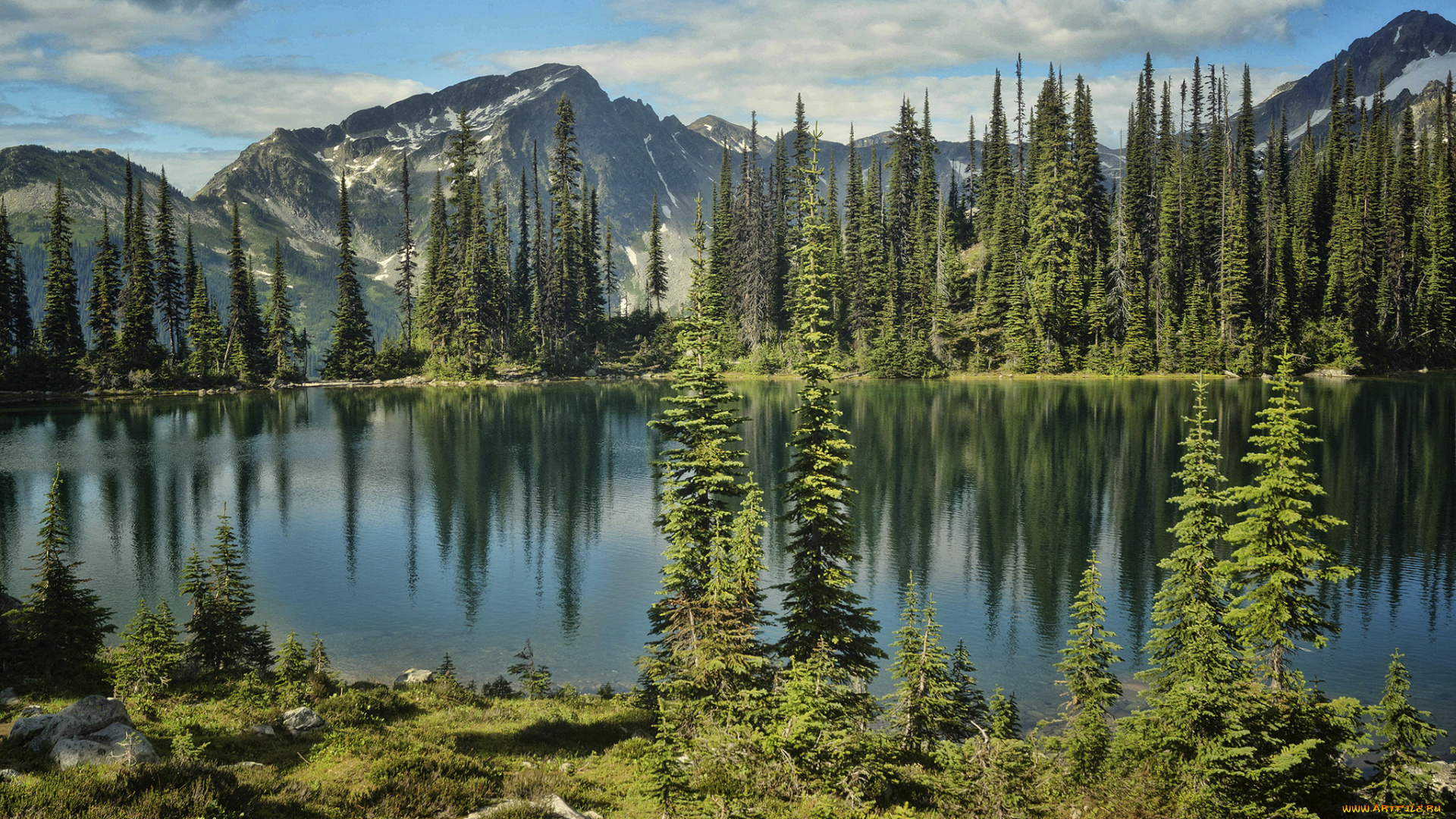 природа, реки, озера, река, лес, горы