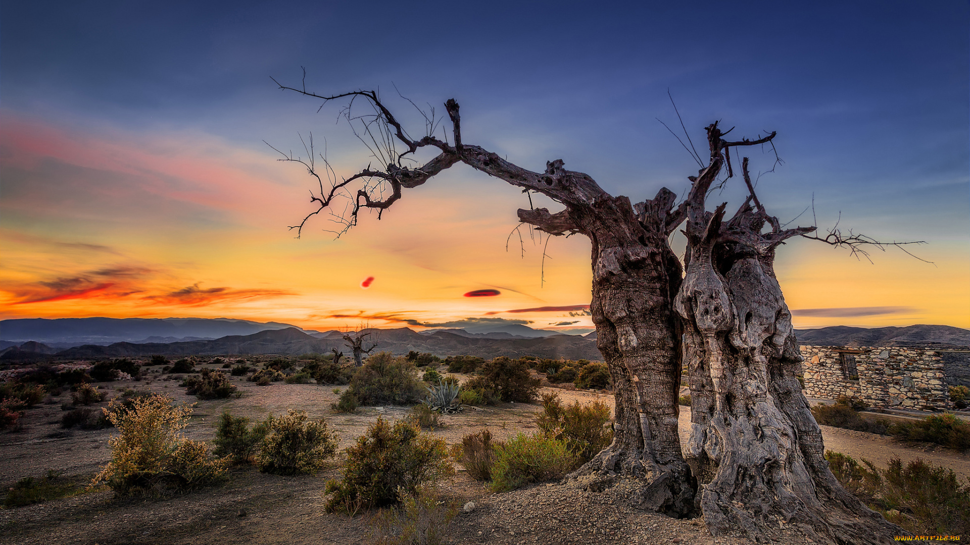 природа, восходы, закаты, рассвет