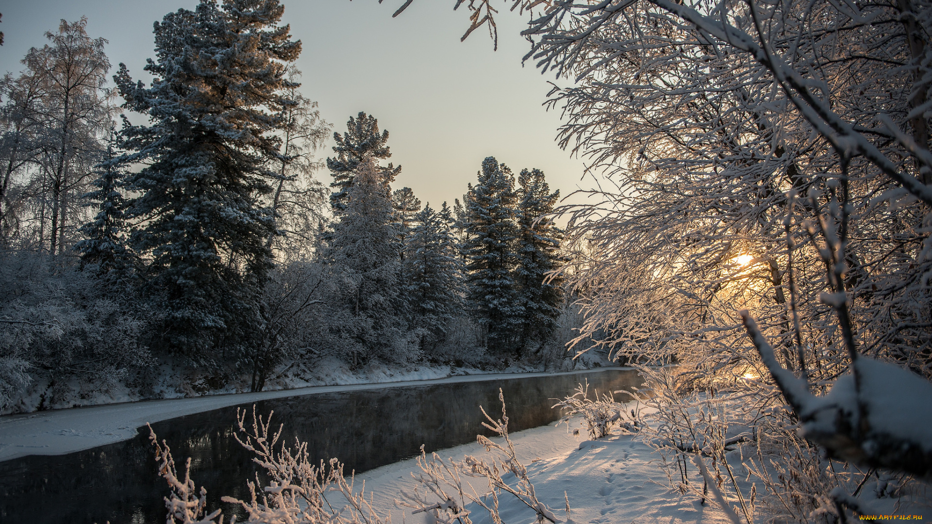 природа, зима, лес, река