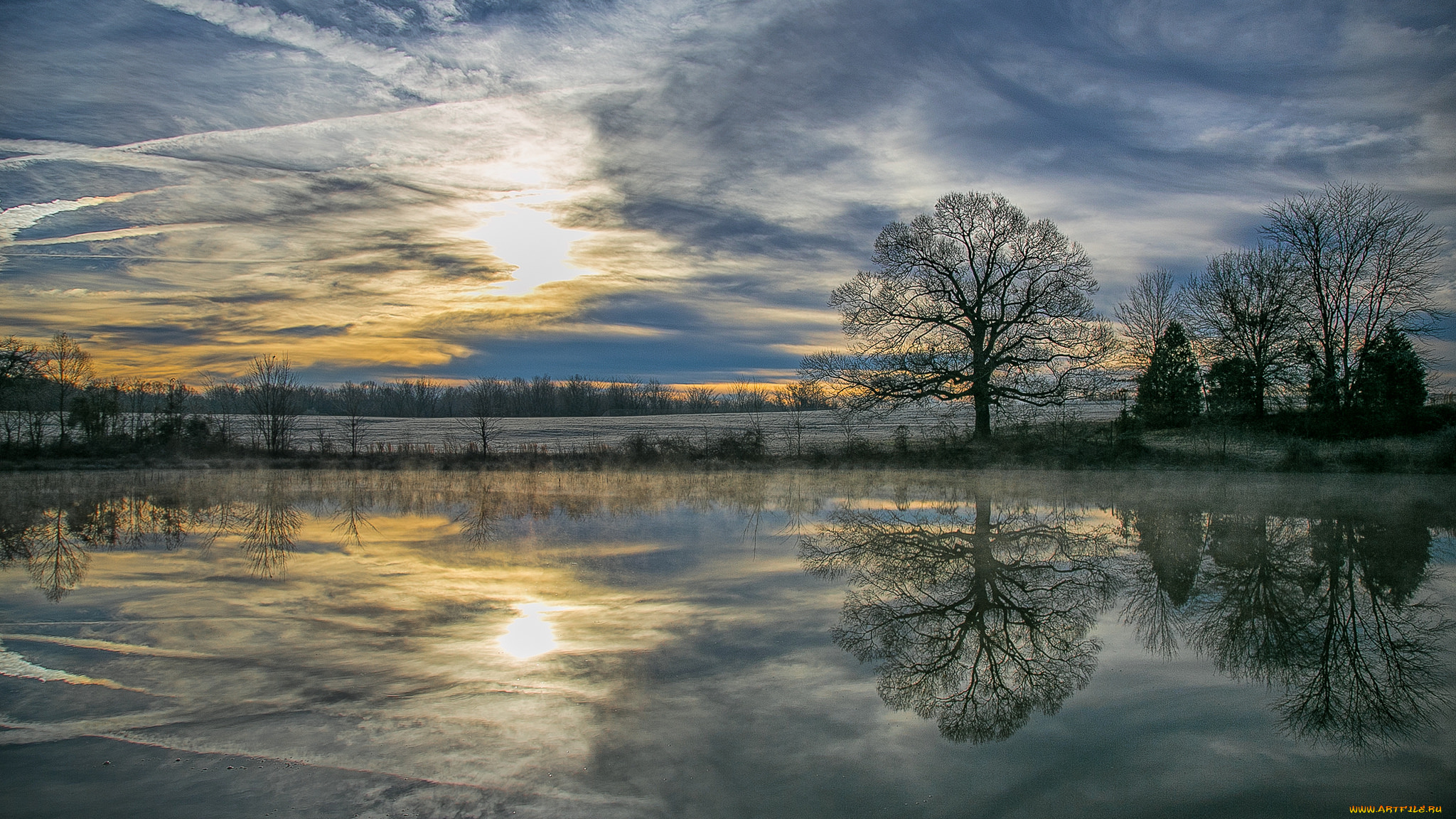 природа, реки, озера, лес, река