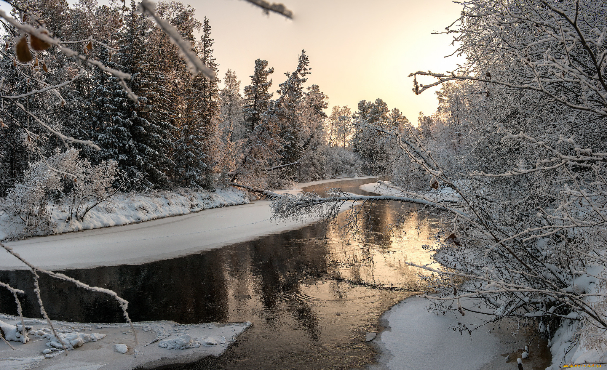 природа, реки, озера, лес, река