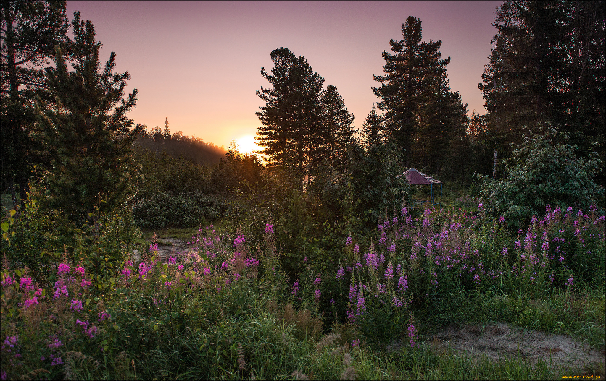 природа, пейзажи, рассвет