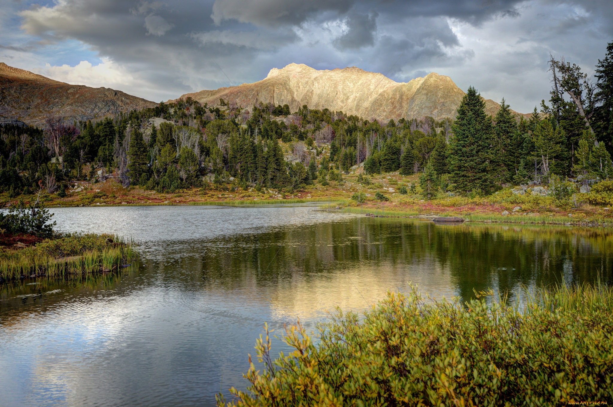 природа, реки, озера, горы, река, лес