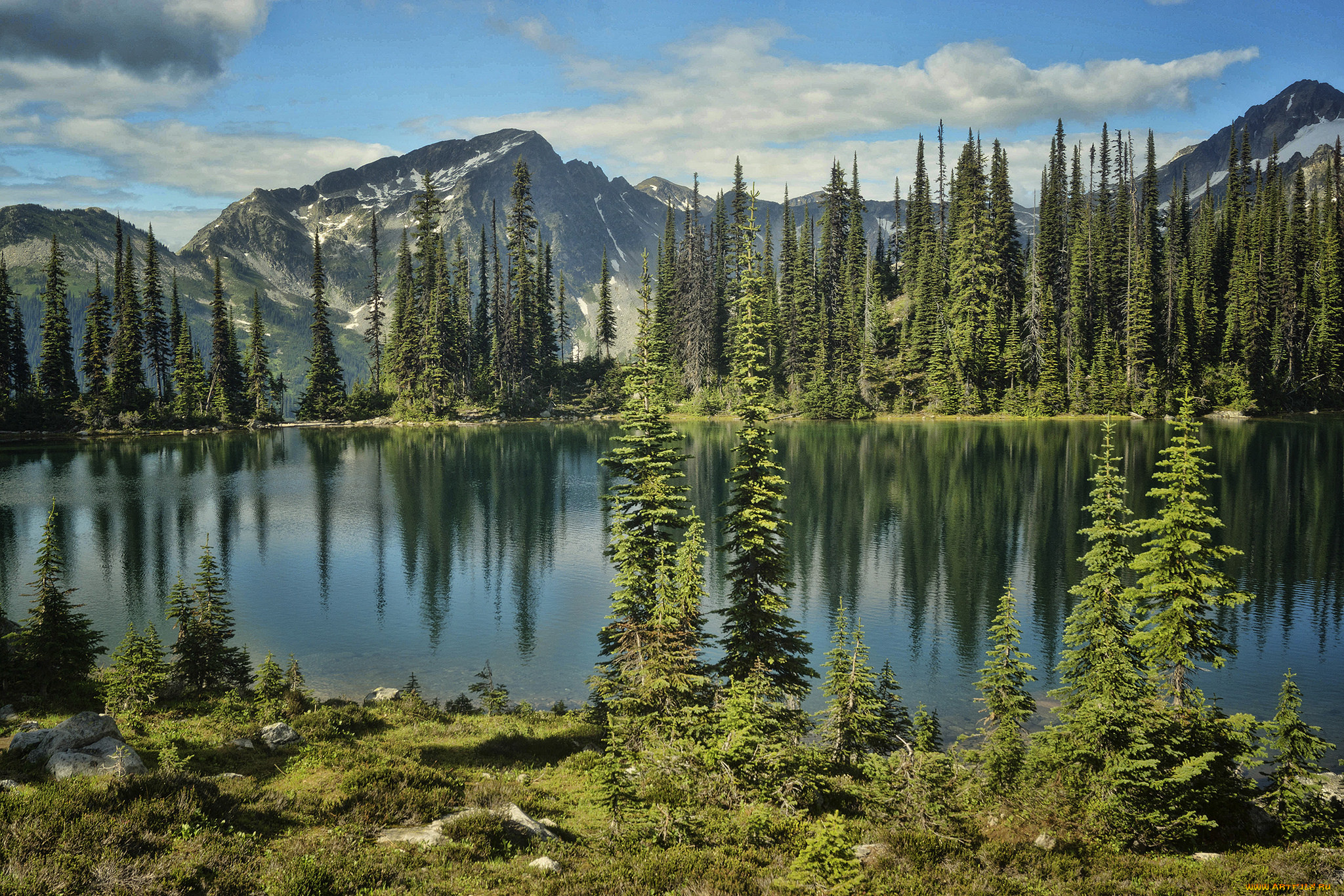 природа, реки, озера, река, лес, горы