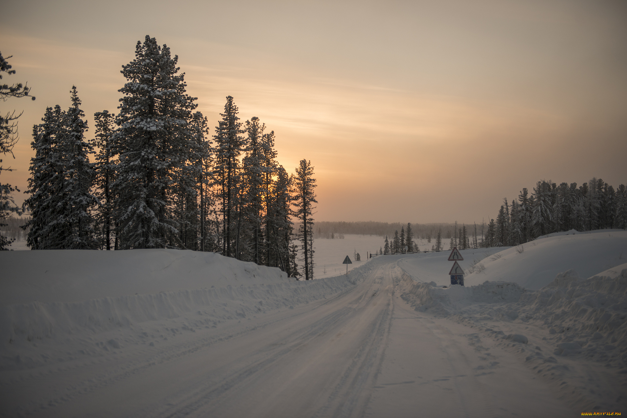 природа, зима, снег, деревья