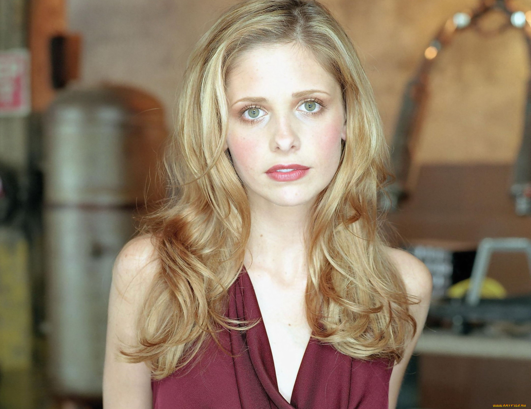 девушки, sarah, michelle, gellar, декольте, блондинка, сара, мишель, геллар, актриса, взгляд