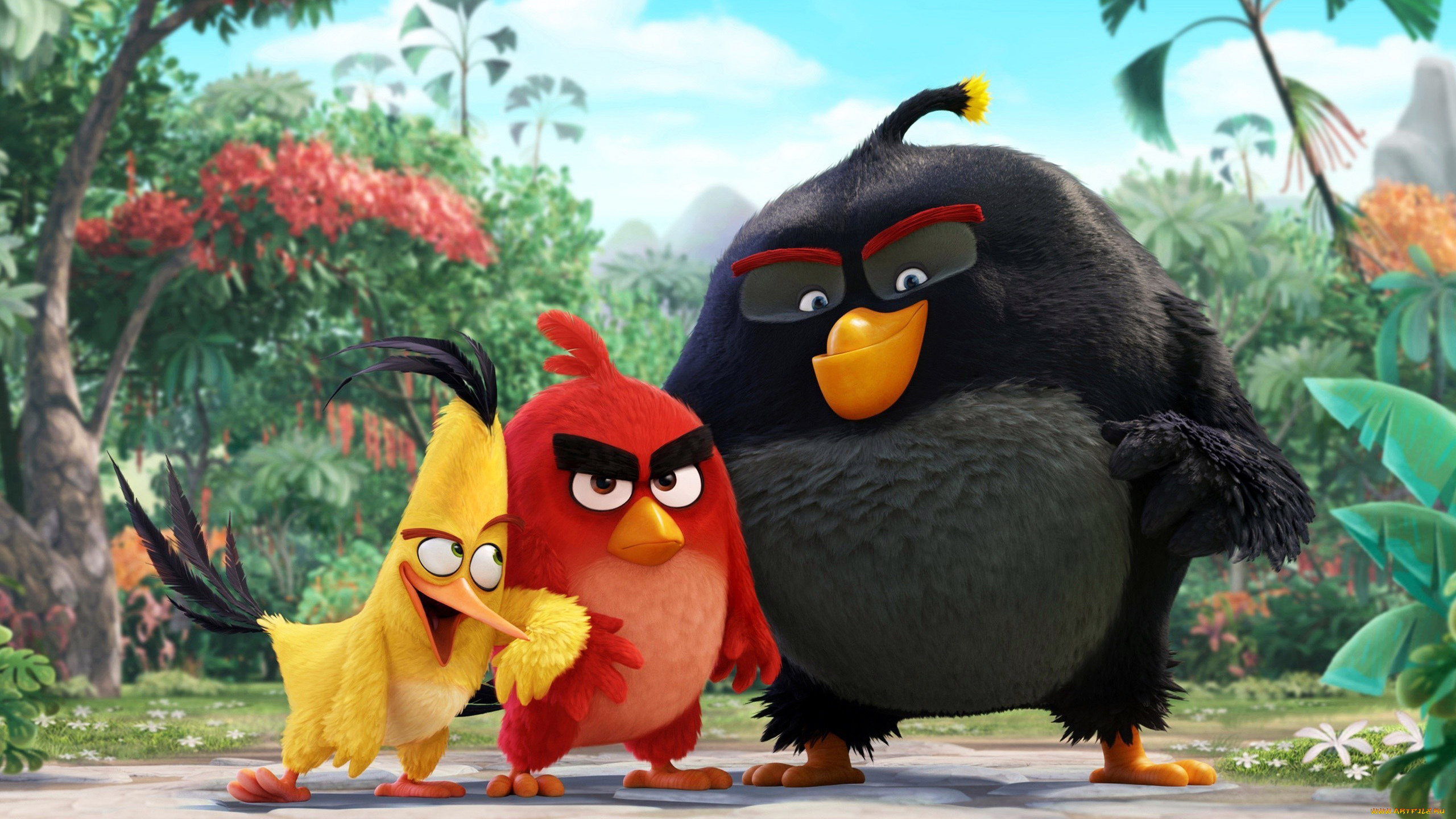 мультфильмы, the, angry, birds, movie, angry, birds, movie