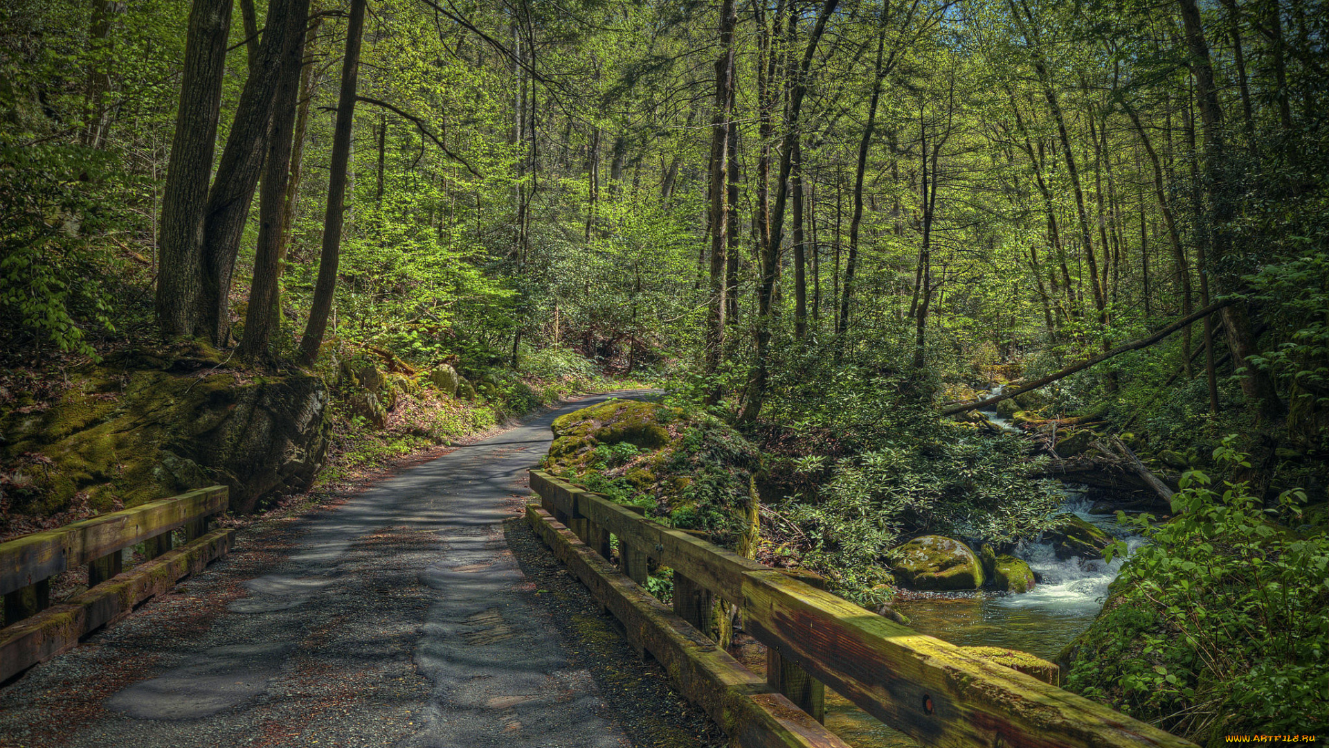 природа, дороги, деревья, дорога, речка, водопад, лес