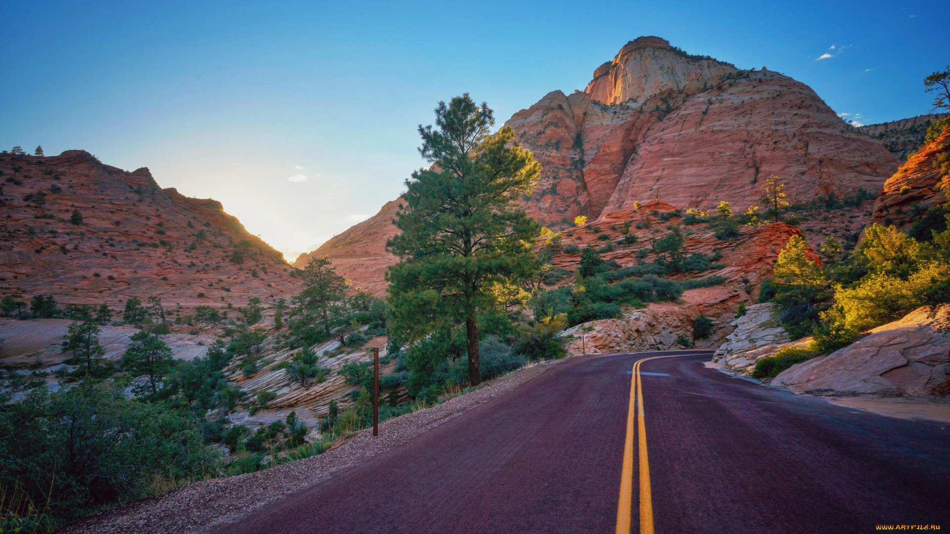 природа, дороги, zion, national, park, пейзаж, деревья, дорога, горы