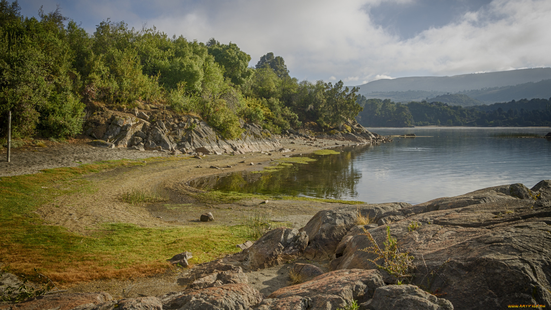 природа, реки, озера, лес, река