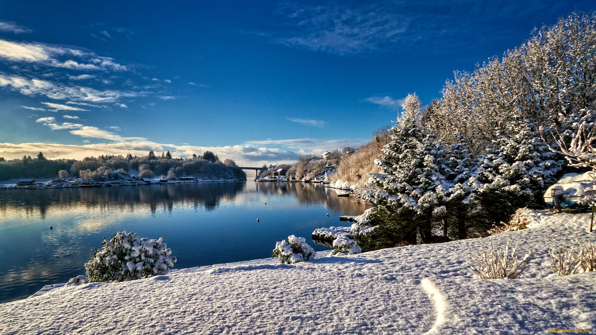 природа, реки, озера, река, лес