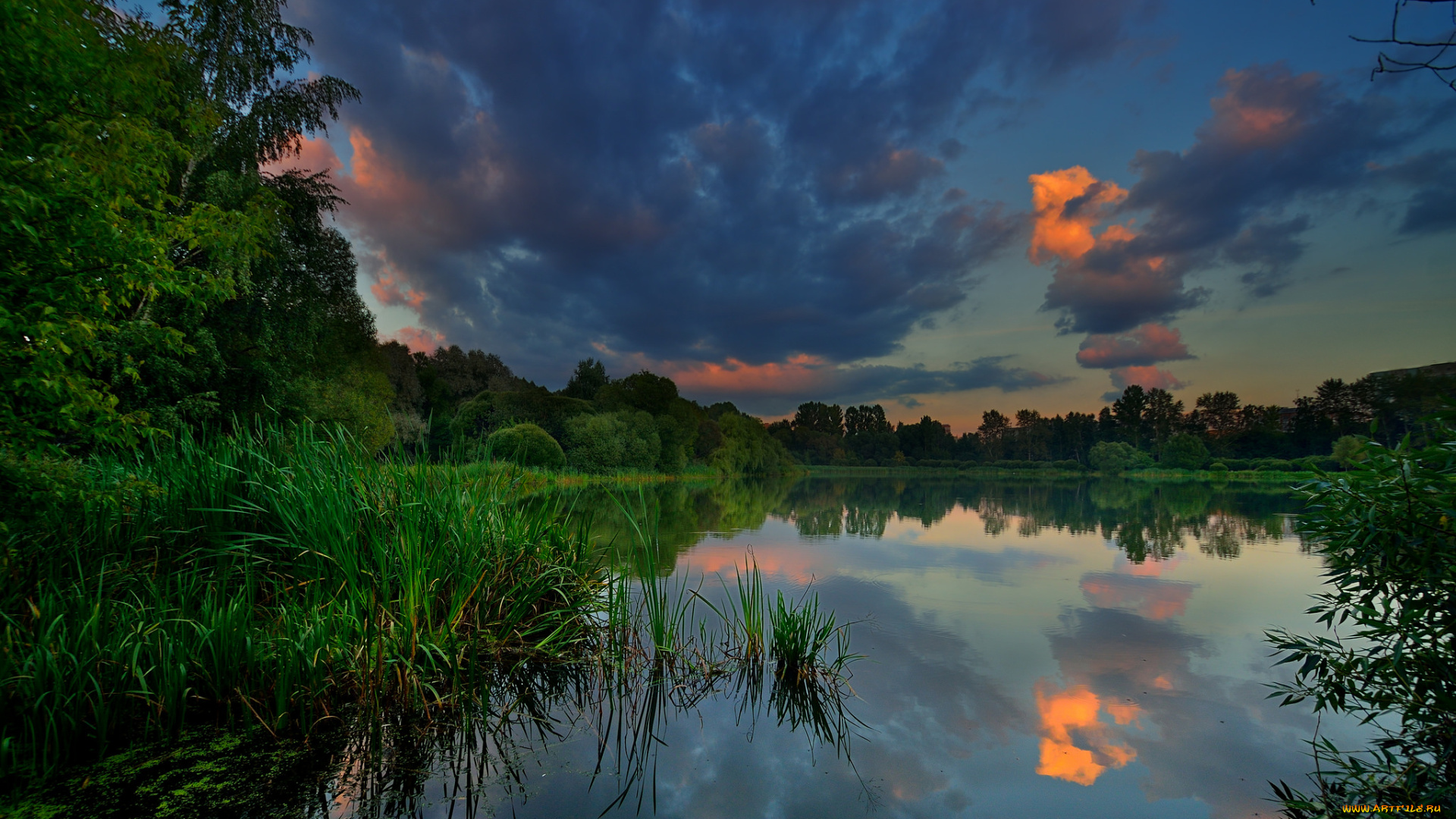 природа, реки, озера, река, лес