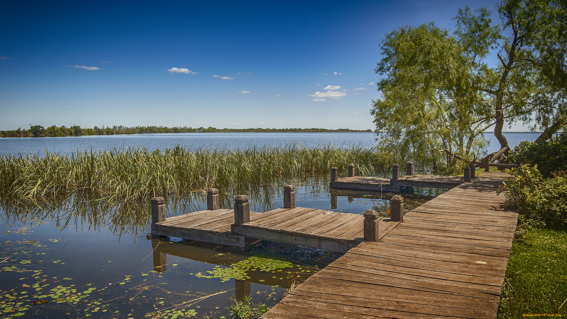 природа, реки, озера, река, лес