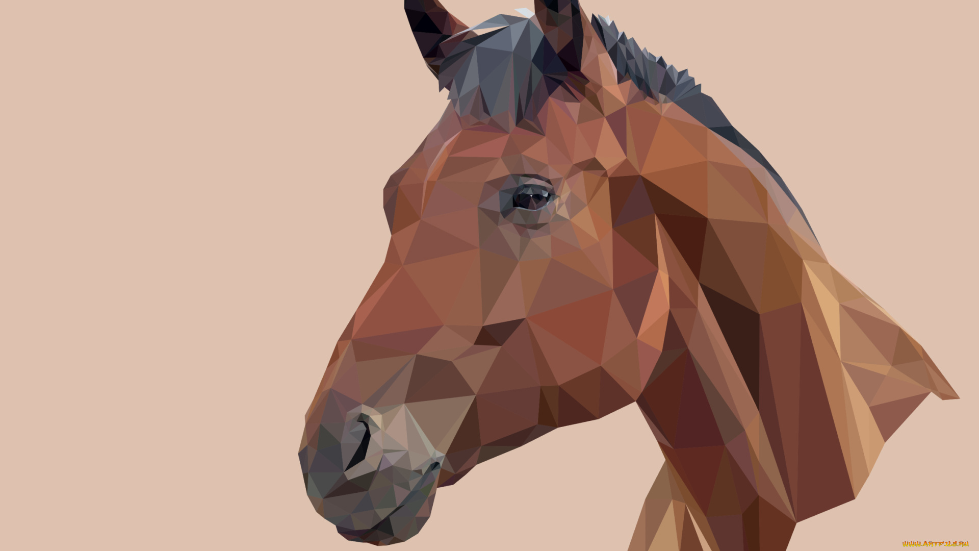 векторная, графика, животные, , animals, фон, лошадь