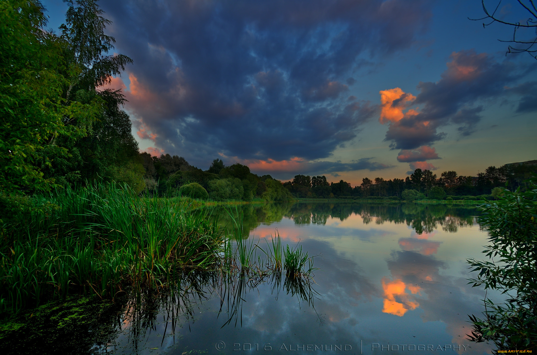 природа, реки, озера, река, лес