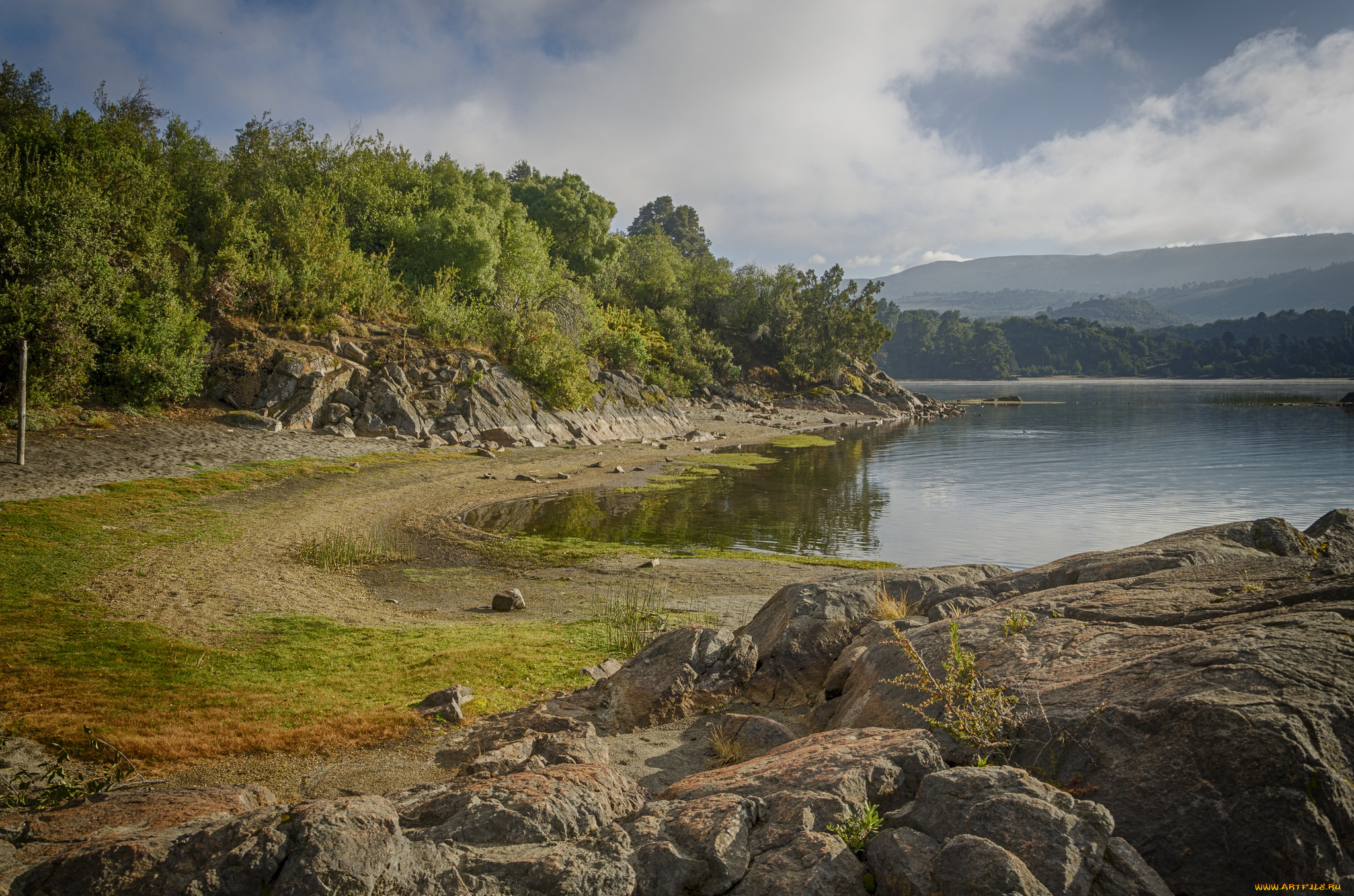 природа, реки, озера, лес, река