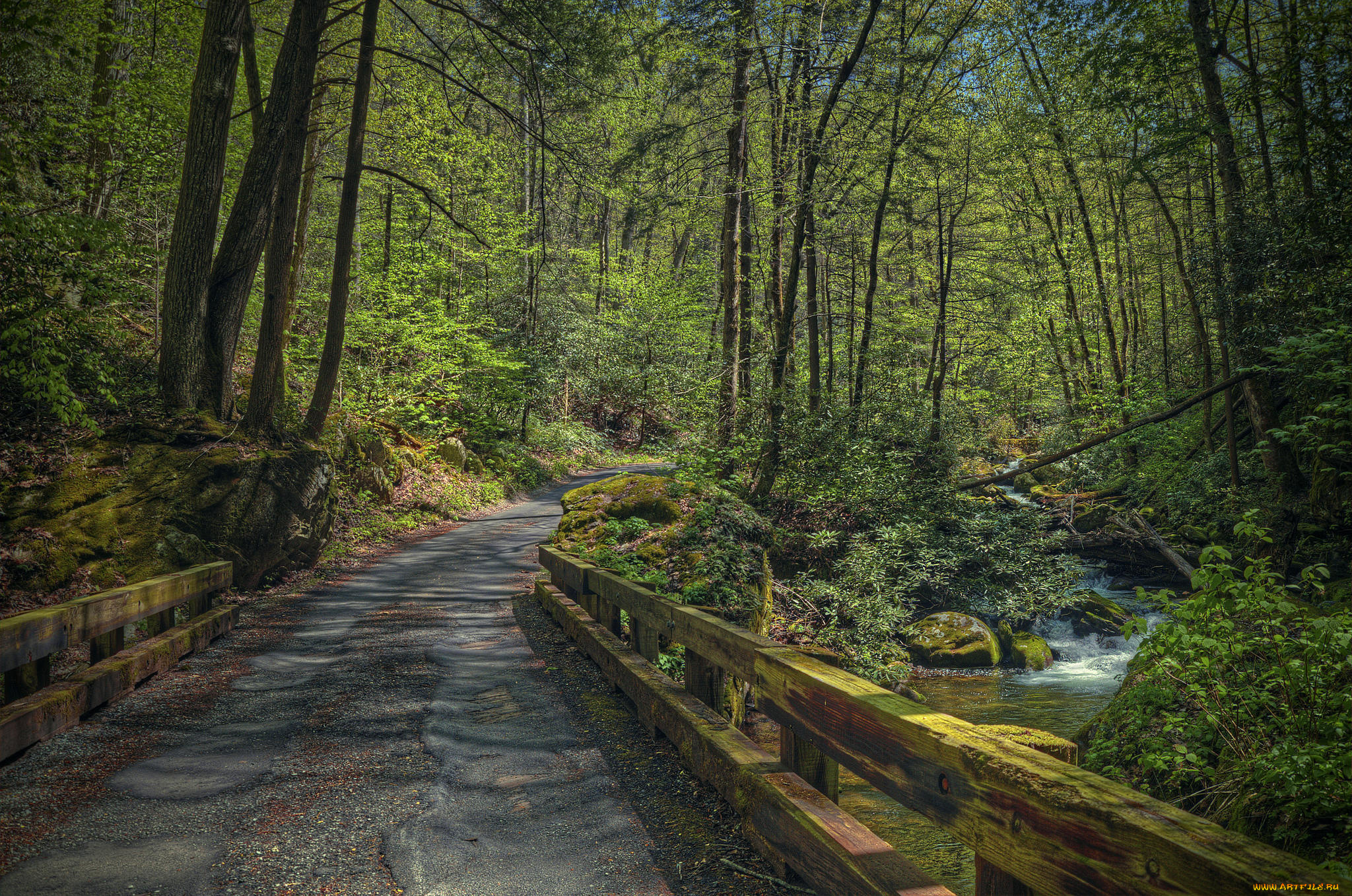 природа, дороги, деревья, дорога, речка, водопад, лес