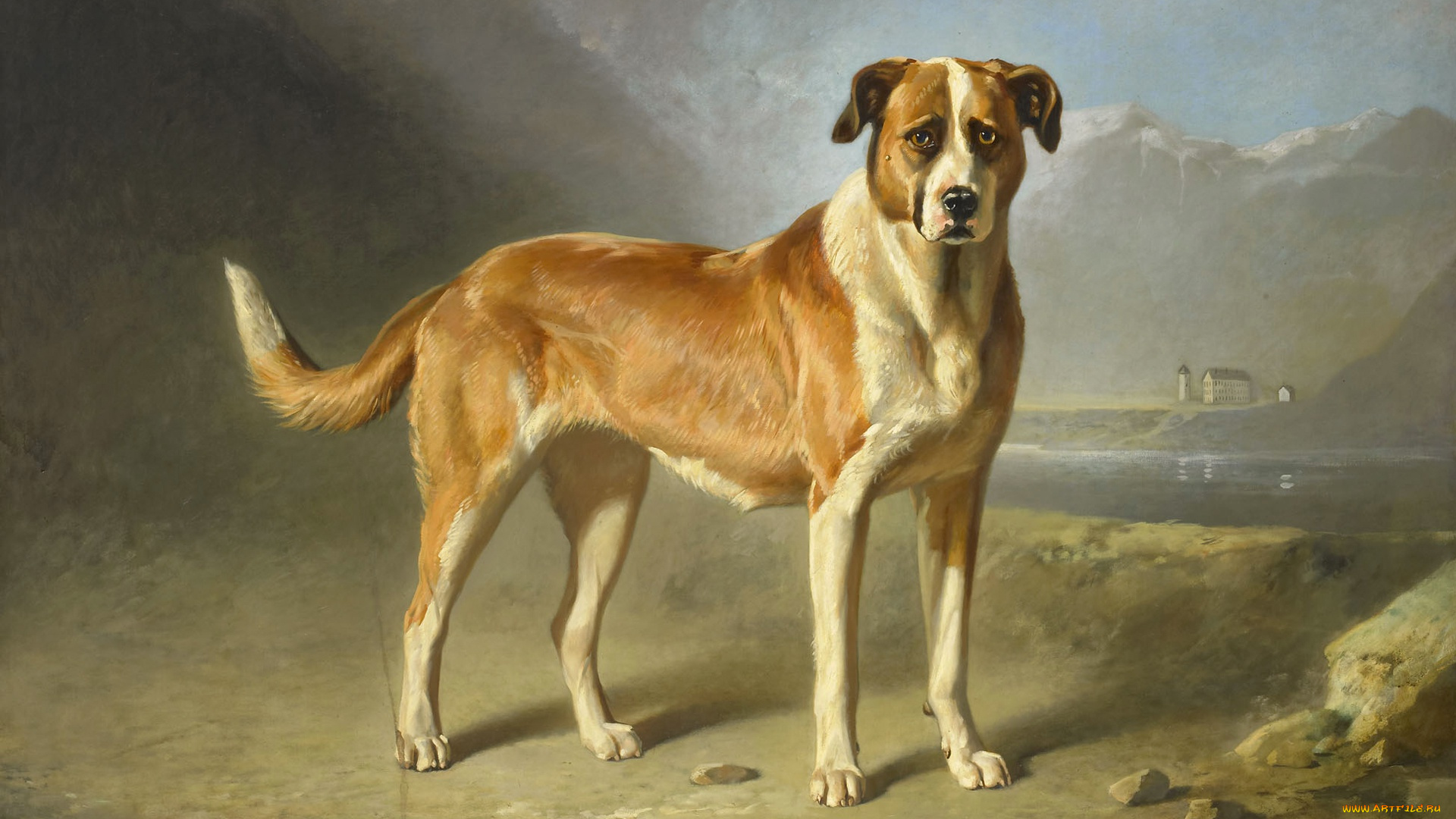 рисованное, животные, , собаки, сенбернар, бернард, те, гемпт, масло, картина, собака