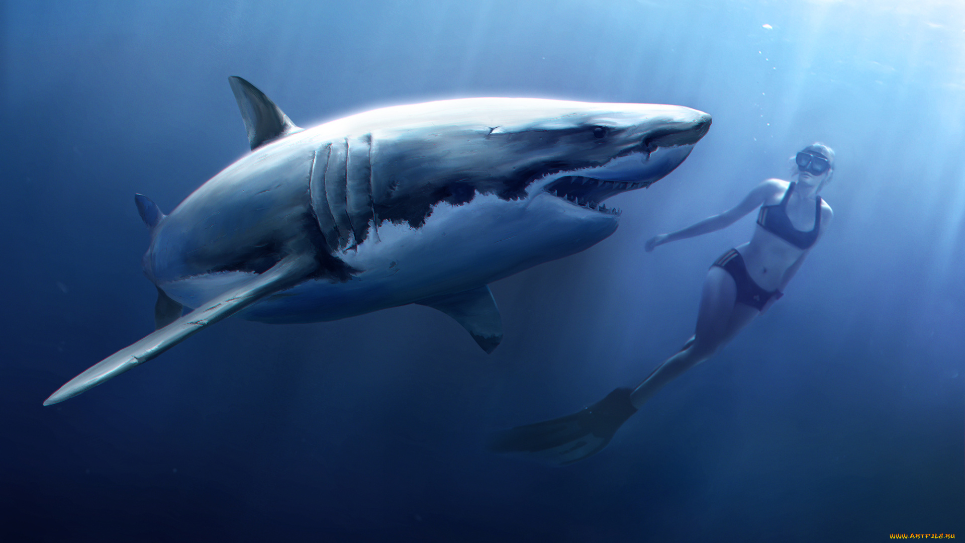 рисованное, животные, пловец, девушка, акула, рыба, вода, челюсти, подводный, мир, аквалангист, attack, shark