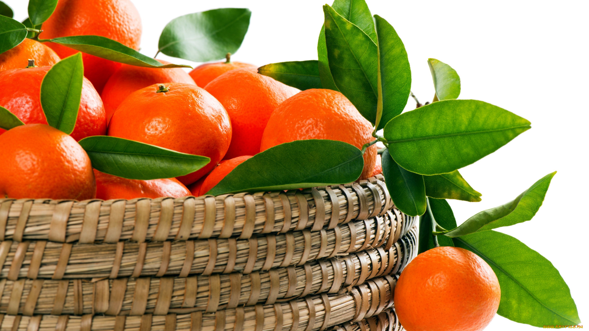 еда, цитрусы, мандарины
