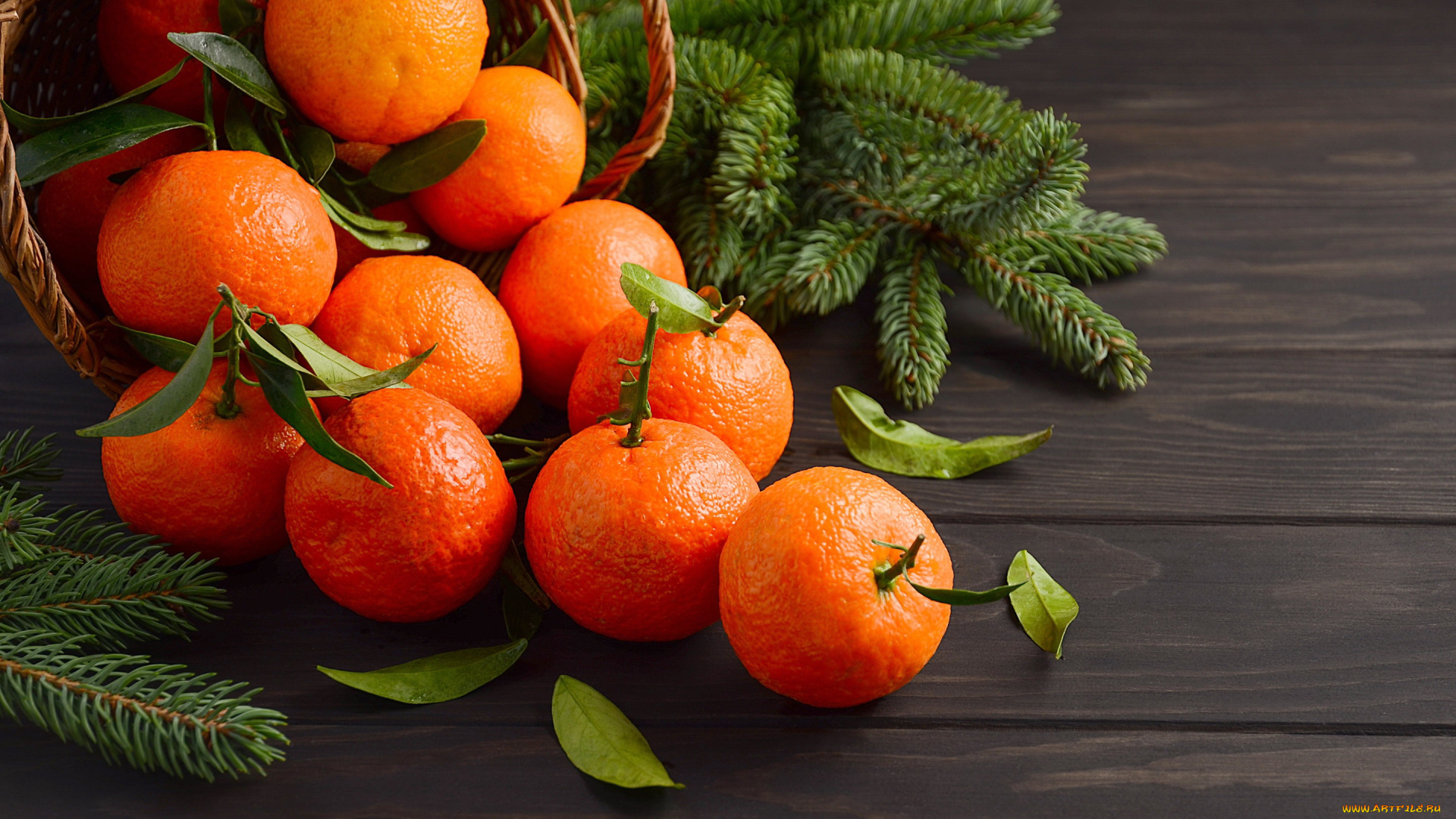 еда, цитрусы, мандарины