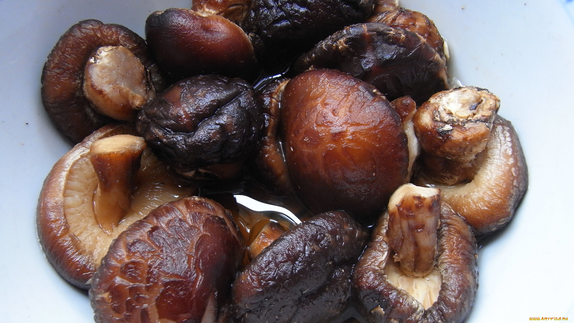 еда, грибы, , грибные, блюда, шиитаке