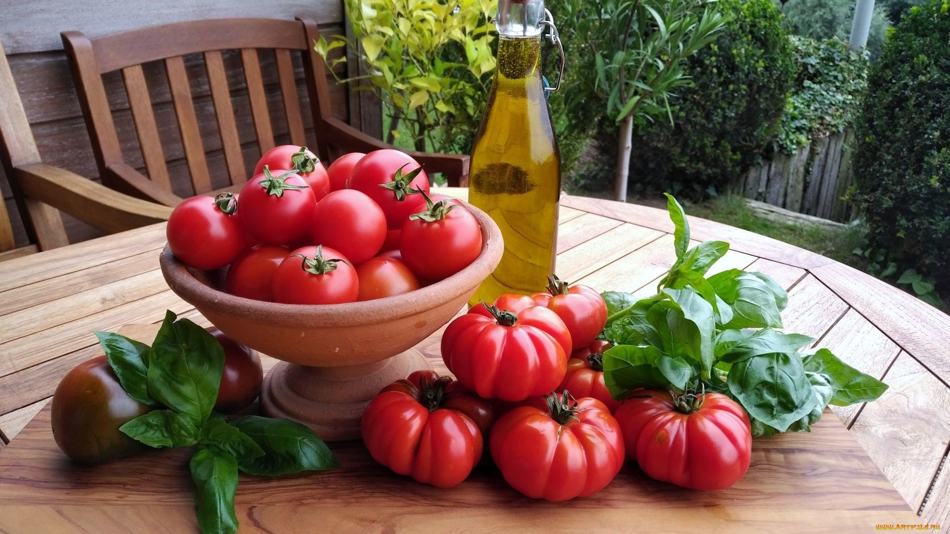 еда, помидоры, томаты