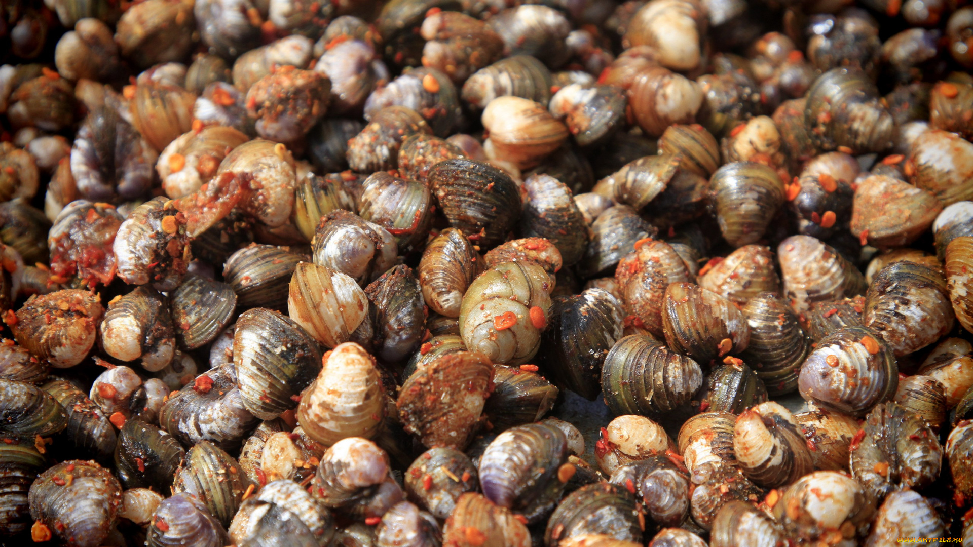 еда, рыба, , морепродукты, , суши, , роллы, улитки