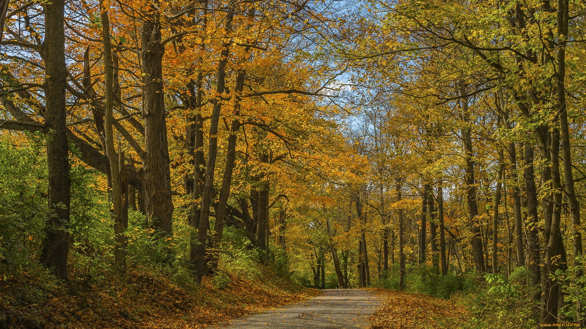 природа, дороги, простор