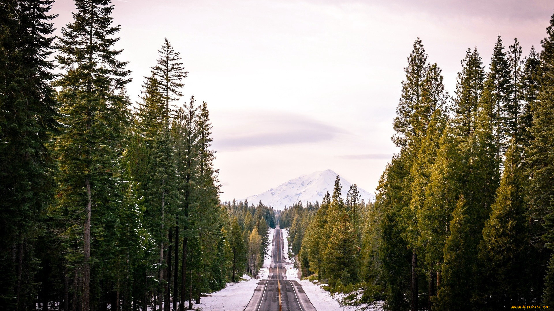 природа, дороги, шоссе