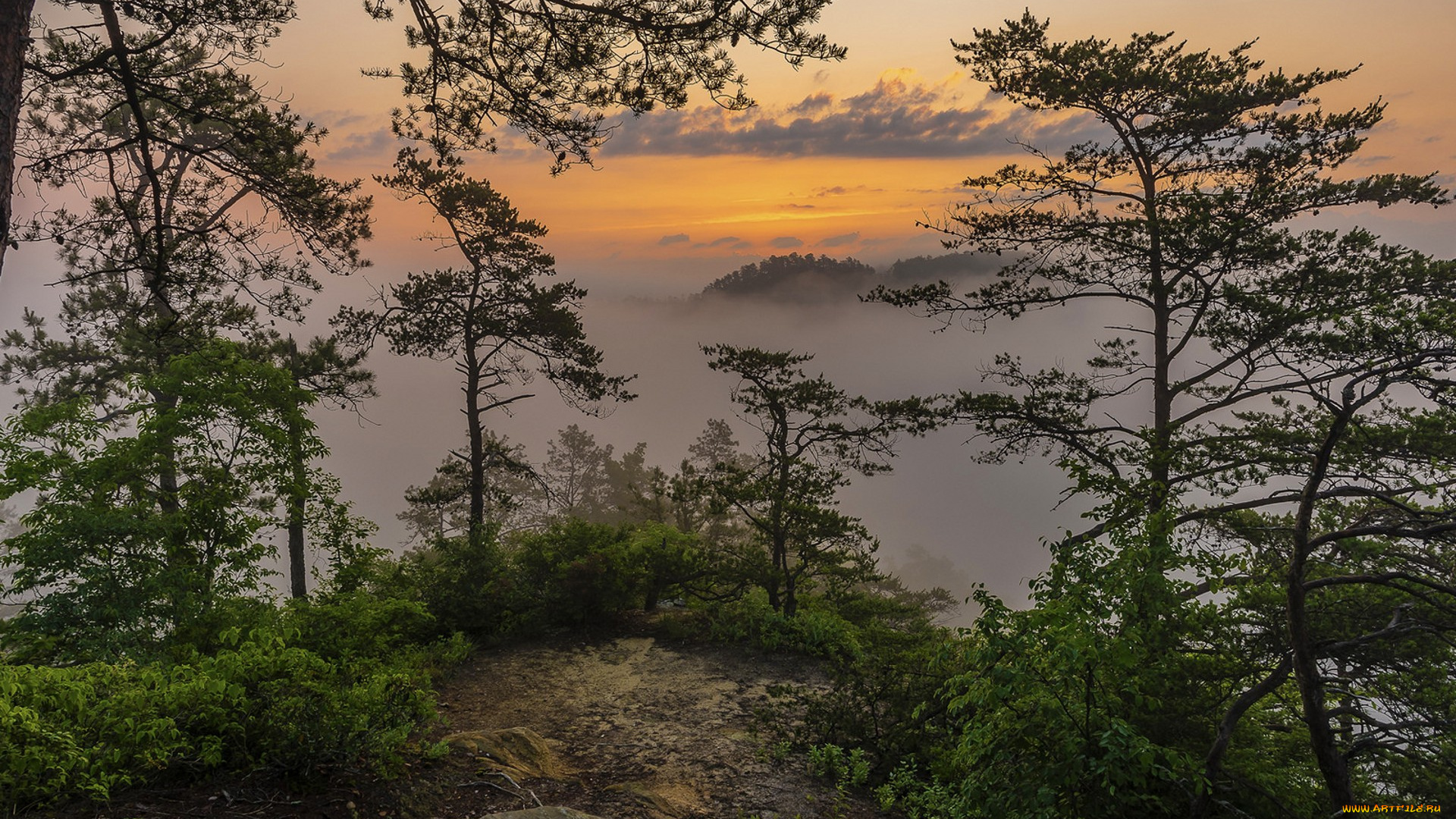 природа, пейзажи, простор