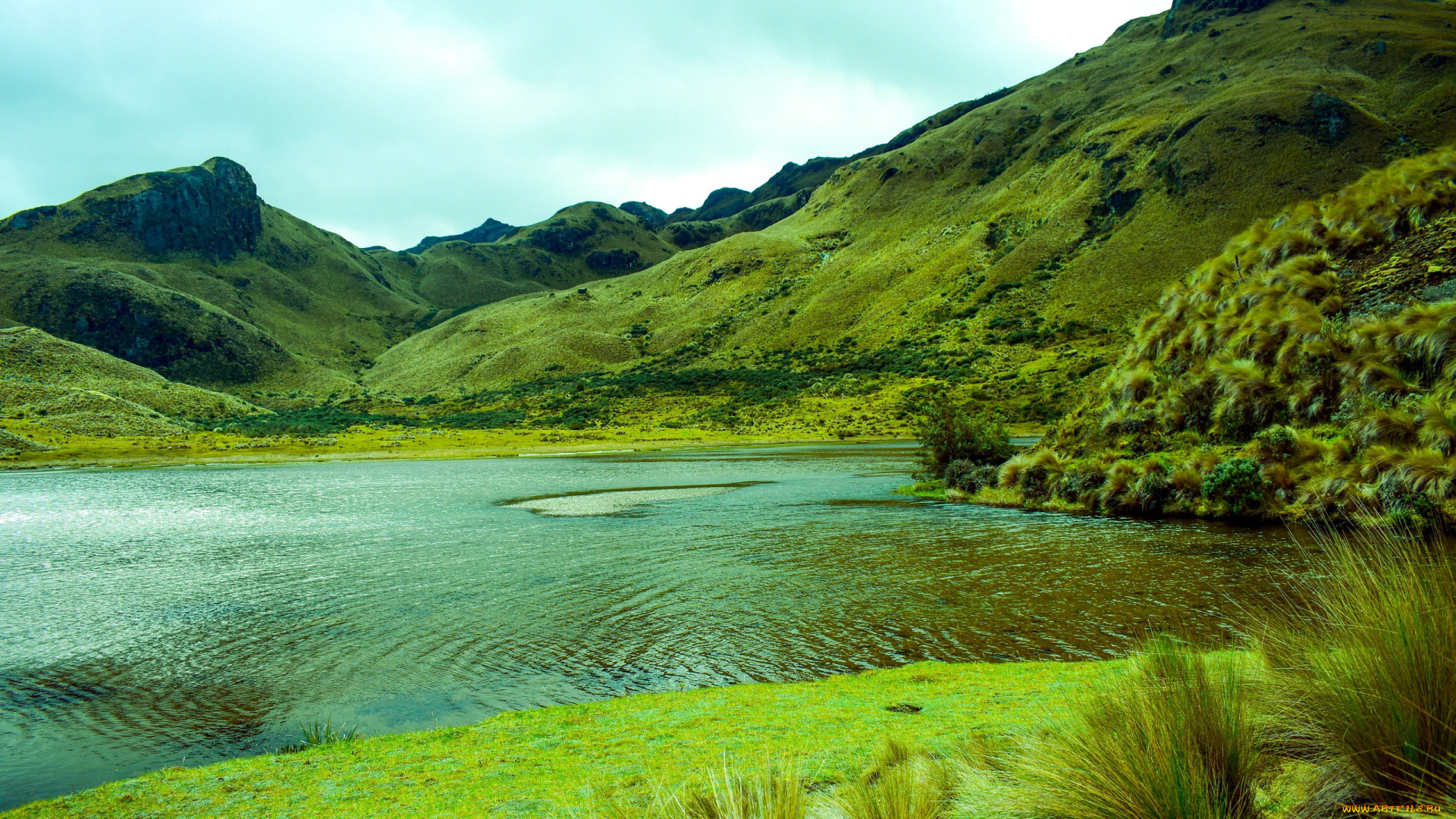 природа, реки, озера, озеро