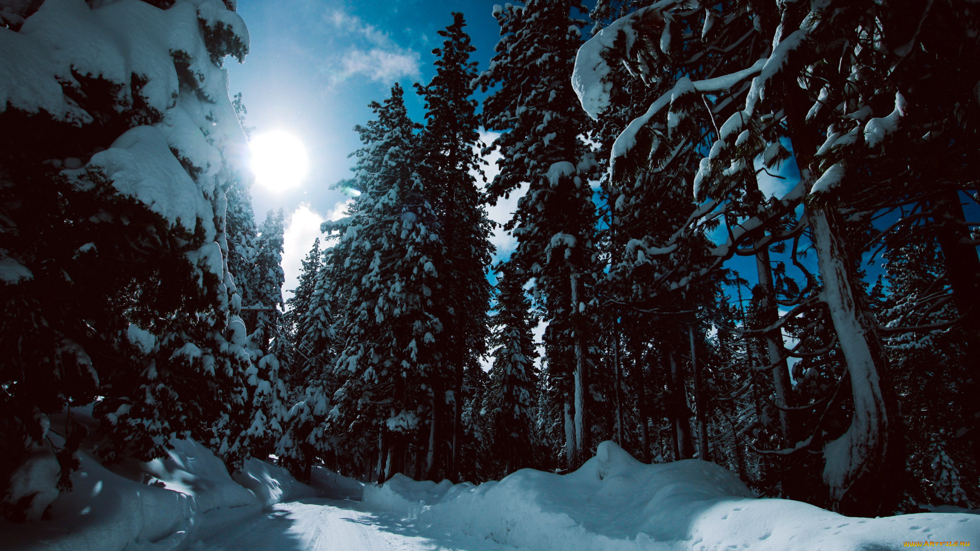 природа, зима, снег