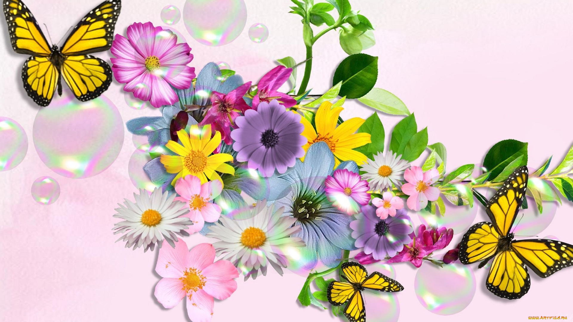 разное, компьютерный, дизайн, цветы