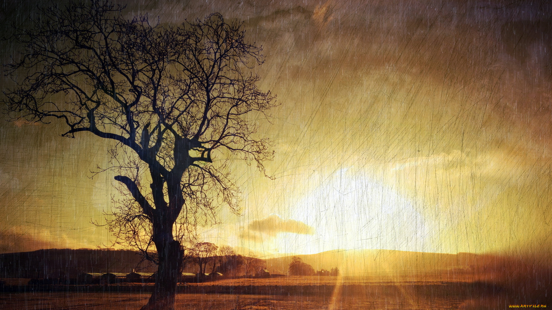 разное, компьютерный, дизайн, дерево, закат, дождь