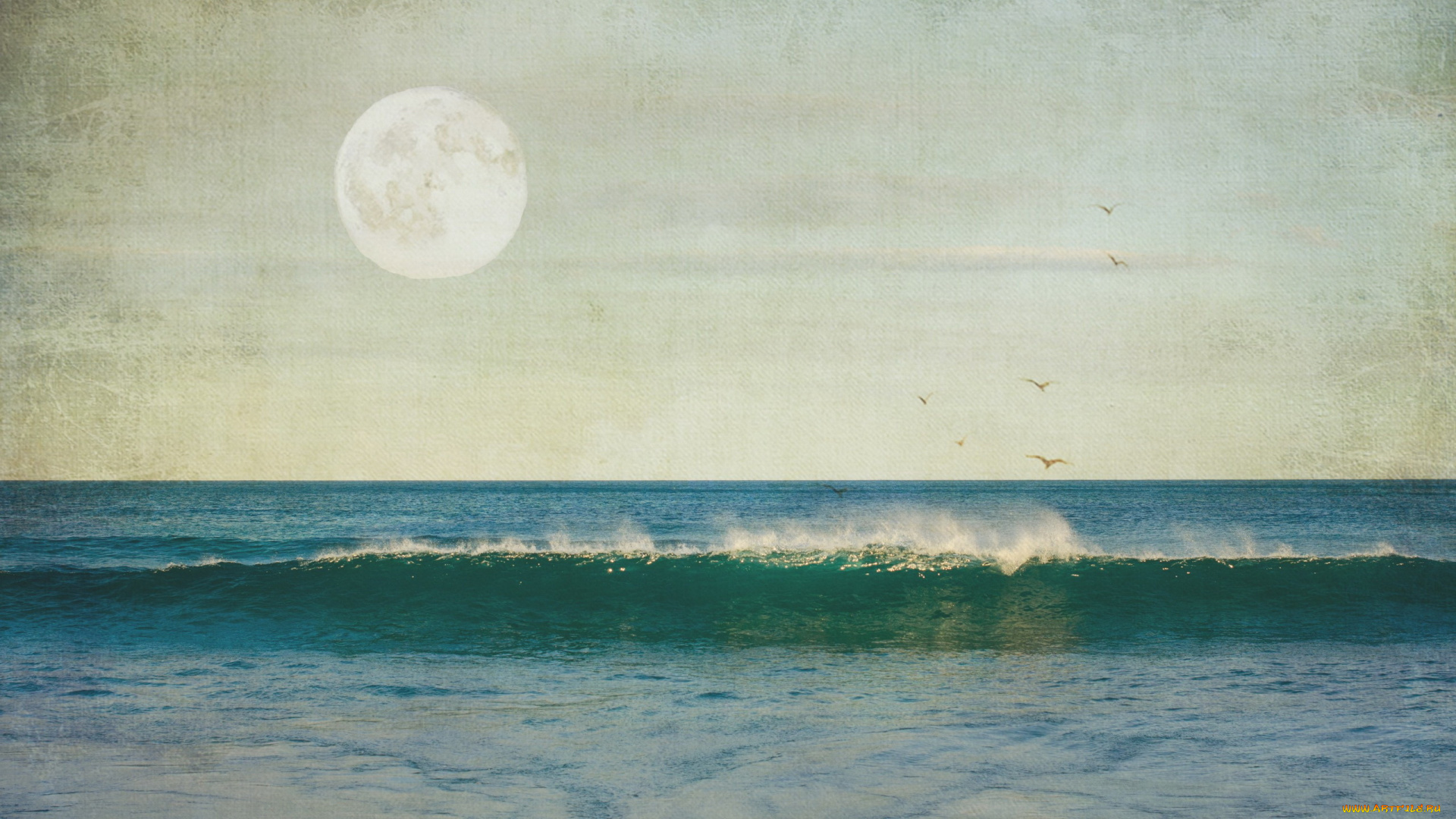 разное, компьютерный, дизайн, птицы, холст, луна, волна, море