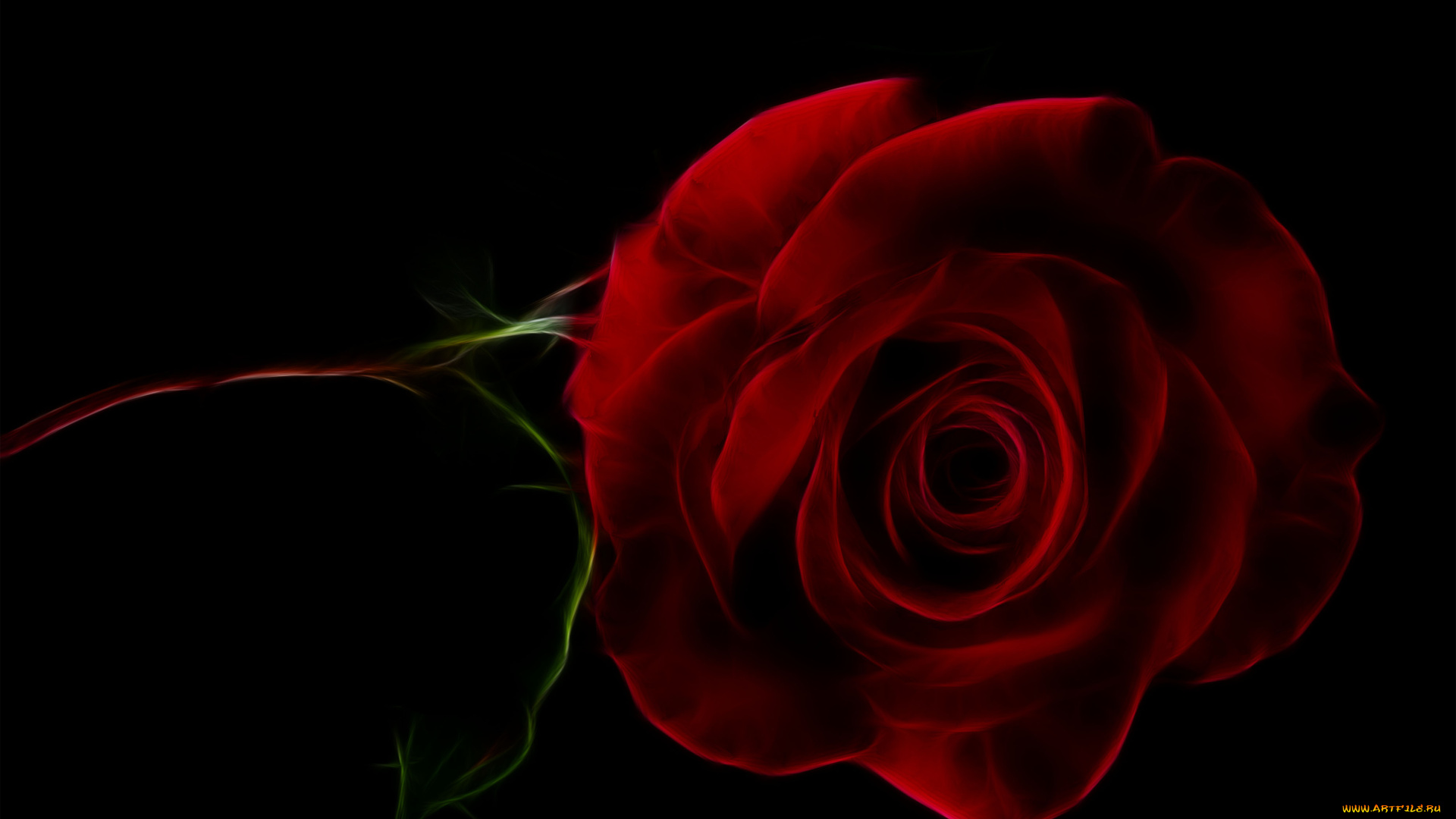 разное, компьютерный, дизайн, роза, фон