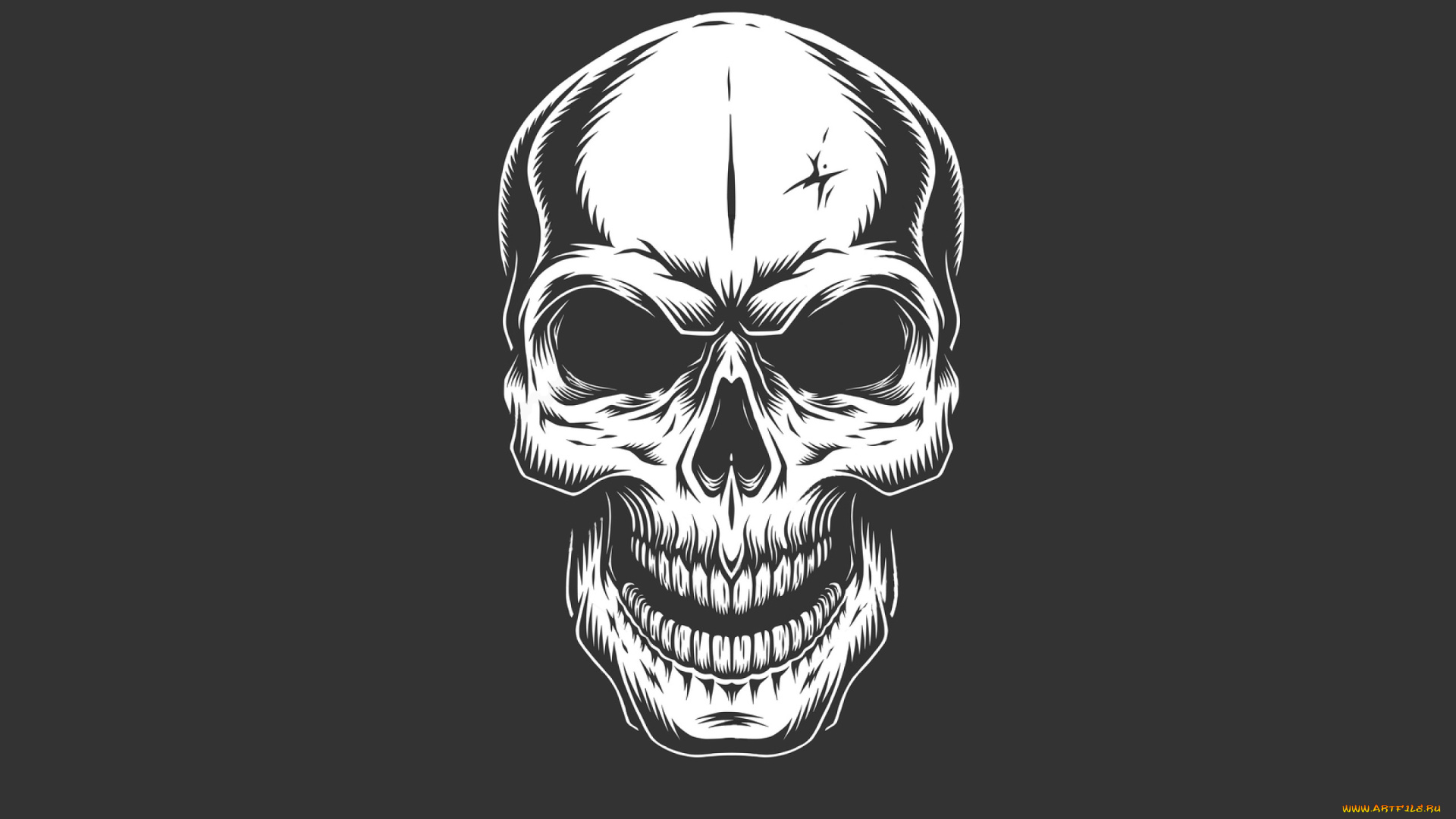 рисованное, минимализм, череп, фон