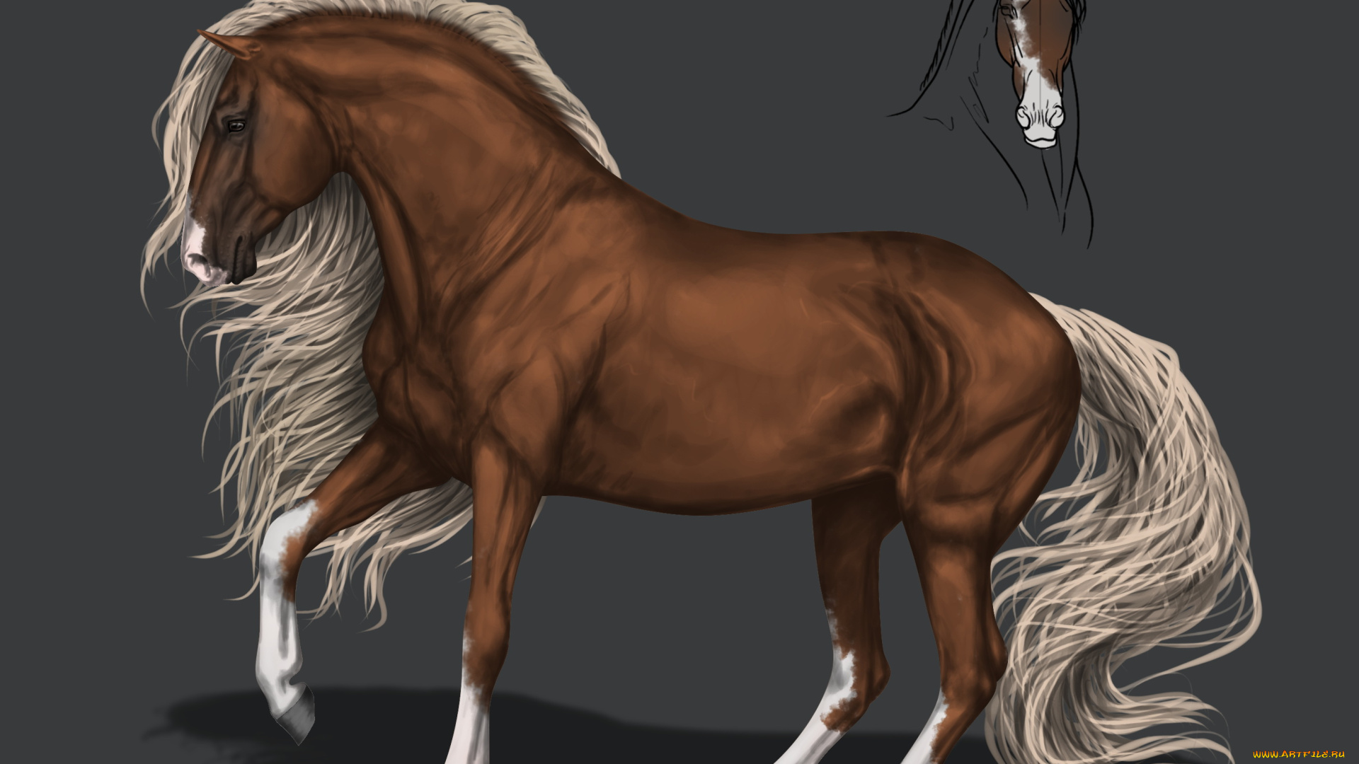 рисованное, животные, , лошади, грива, фон, конь