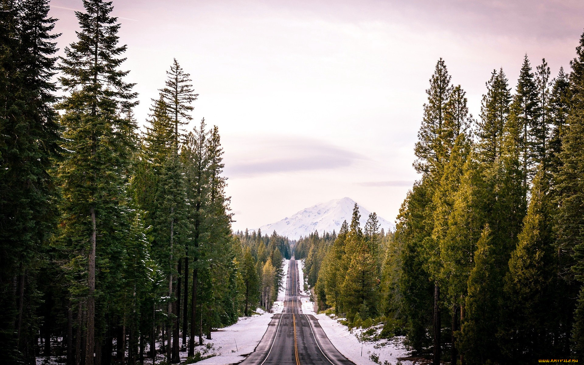 природа, дороги, шоссе