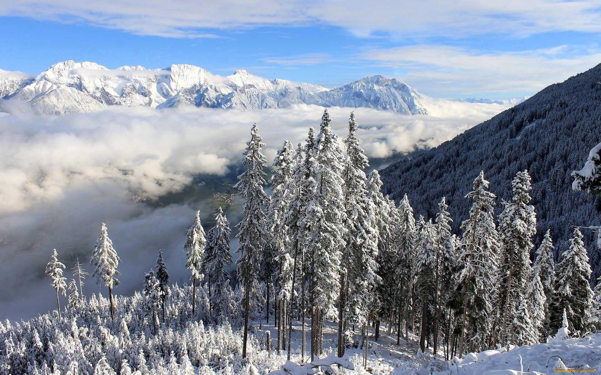 природа, зима, снег