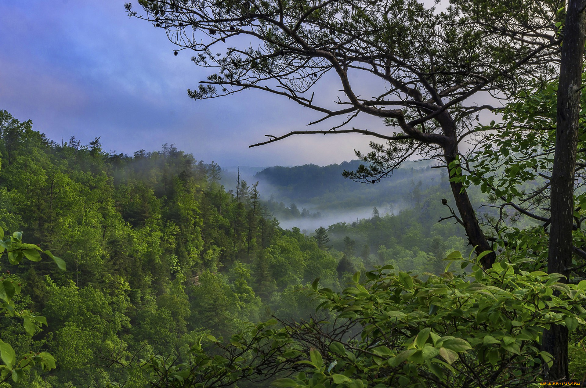 природа, пейзажи, простор