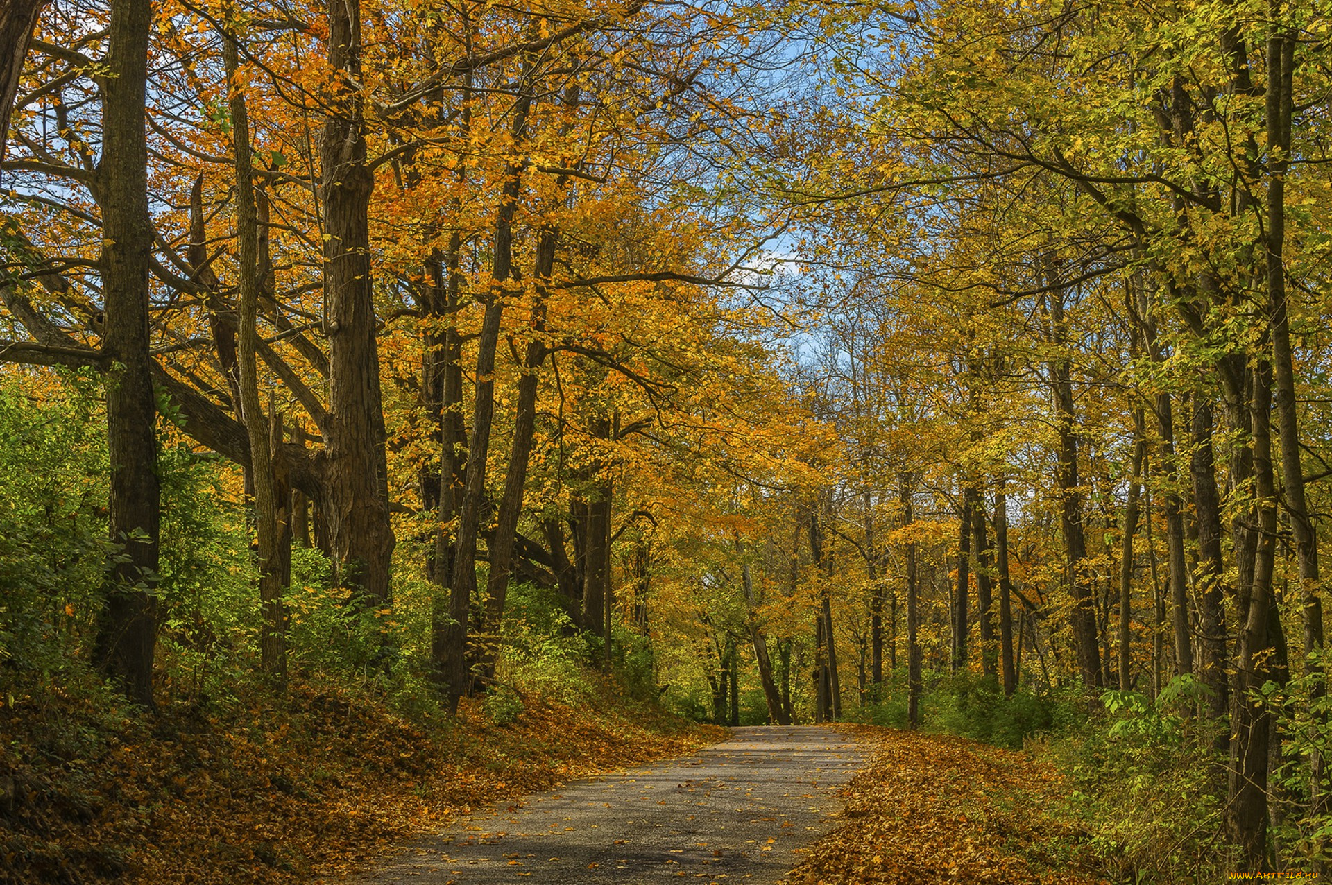 природа, дороги, простор